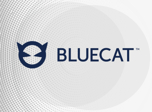 Bluecat presence in Lebanon