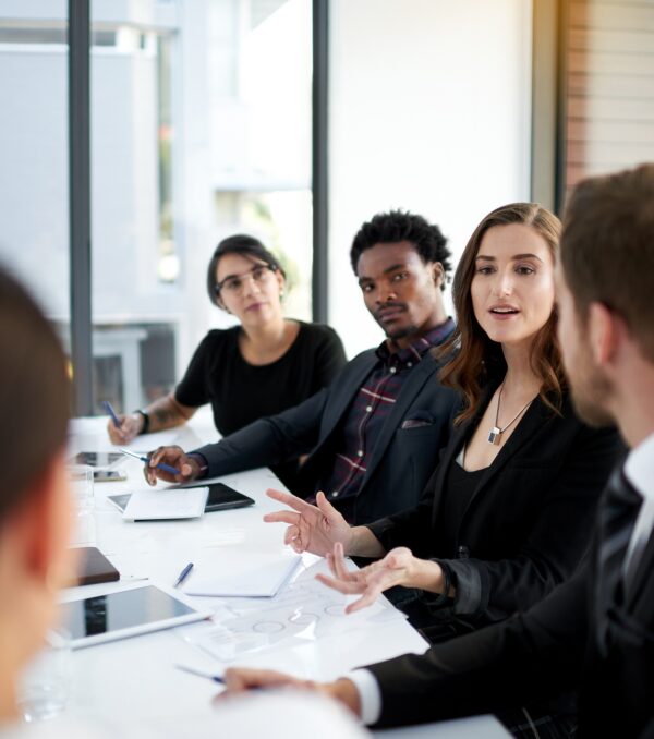 Explaining her vision Explaining her vision